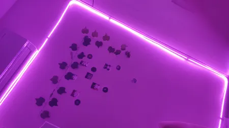 ریسه شلنگی ال ای دی کد 5730 طول 5 متر