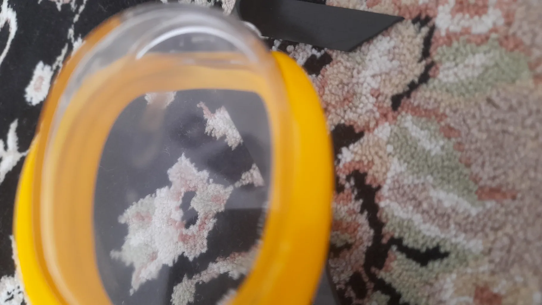 عینک شنا ویو کد G1198NE