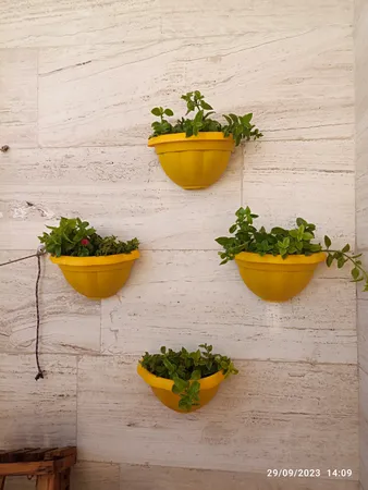 گلدان دیواری مدل 425