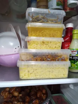 ظرف نگهدارنده پولاد پویش مدل فریزری پلمپ شونده کد 700cc-1000cc بسته 10 عددی