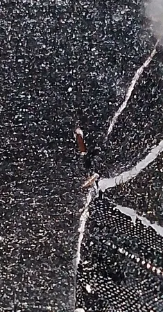 نیم بوت زنانه سیی 1966 مدل برلیان سگک دار کد 2183.6