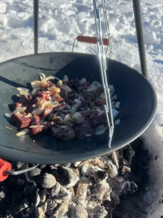 استند و ساج گریل سفری کد 001