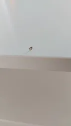 کتابخانه مدل FH11