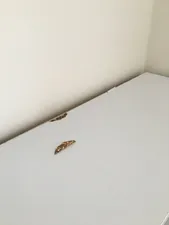 تجریه خرید کتابخانه اعیان مدل FH20