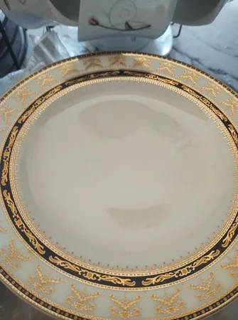 سرویس غذاخوری 28 پارچه چینی زرین ایران مدل ایتالیا اف فلورانس درجه یک