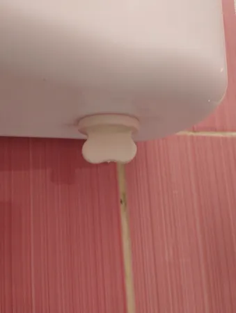 فلاش تانک سکناپلاست مدل آبان دوزمانه