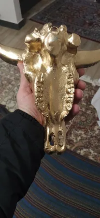مجسمه طرح جمجمه مدل کله گاو