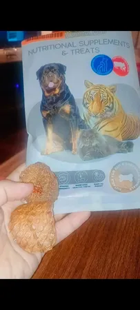 غذای تشویقی سگ ابیش مدل دنبلان خشک شده گوساله وبره وزن 100 گرم