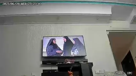 دوربین مداربسته تحت شبکه اسفیورد مدل  Z230
