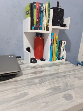 کتابخانه رومیزی مدل کاکتوس