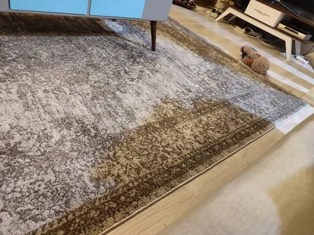 فرش ماشینی ساوین کد 4062 نقره ای