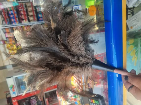 گردگیر مشهد داستر مدل Ostrich