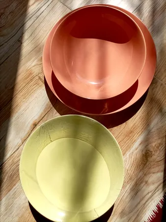 بشقاب غذاخوری مدل دیانا NB24 بسته 6 عددی