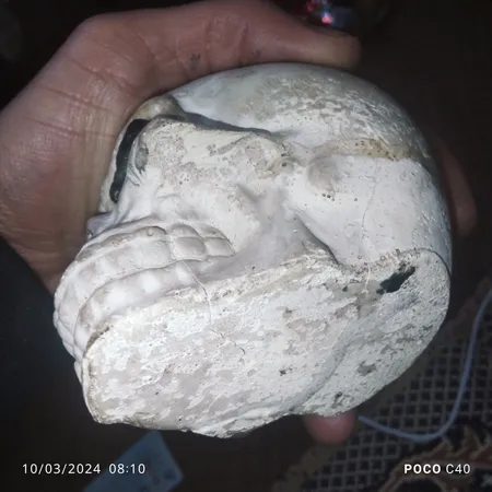 زیرسیگاری مدل جمجمه کد 371