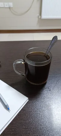 کتری سفری مدل تاشو برقی کد 4480