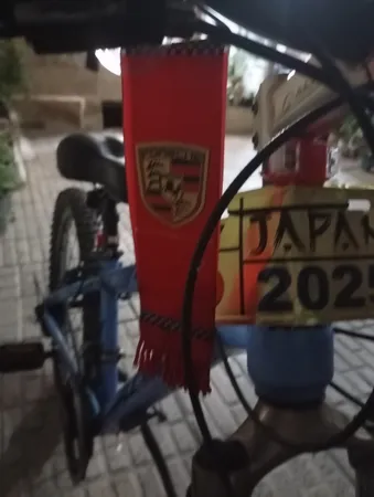 آویز تزئینی خودرو  مدل W10