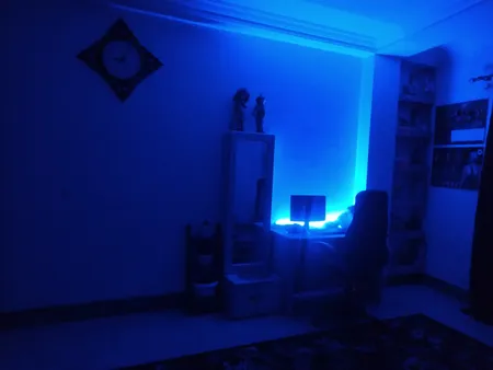 ریسه اس ام دی کد ZA طول 1 متر