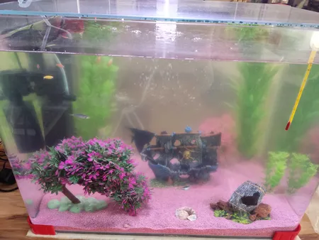 محلول شفاف کننده آب آکواریوم پلنتا بلوم کد CLR01 حجم 250 میلی لیتر