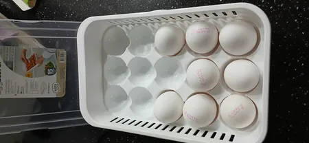 ظرف نگهدارنده تخم مرغ هوبی لایف مدل 1067