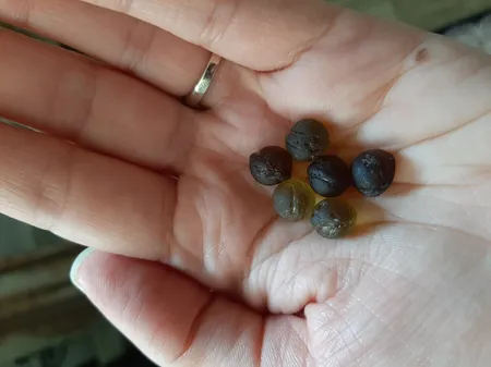 نوار سرب پرده مدل سنگین طول 2000 سانتی متر