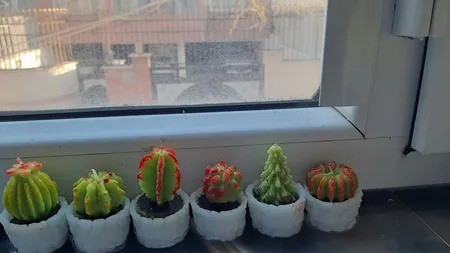 شمع طرح کاکتوس مجموعه 6 عددی