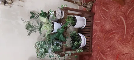 استند گلدان مدل 65