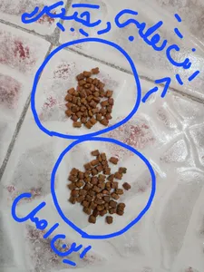 تجریه خرید غذای خشک گربه رفلکس مدل مادر و بچه وزن 1.5 کیلوگرم