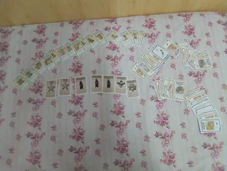 بازی فکری دی وی جیوچی مدل Bang