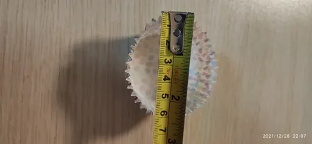 کپسول کاپ کیک به گز مدل La مجموعه 60 عددی