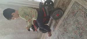 تجریه خرید سه چرخه ارابه مدل رکس Rex