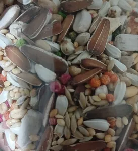 تجریه خرید غذای عروس هلندی سلکتیو مدل COCKATIEL وزن 1 کیلوگرم