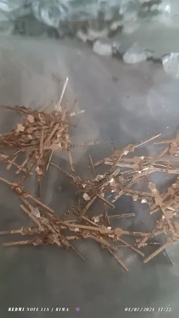 گیره لوستر طرح پاپیون مدل nik کد 9821 بسته 200 عددی