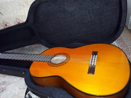 هارد کیس گیتار کلاسیک پلاس مدل Black