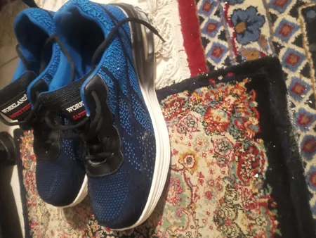 کفش ایمنی ورک لند مدل مهندسی اسپرت کد IAR