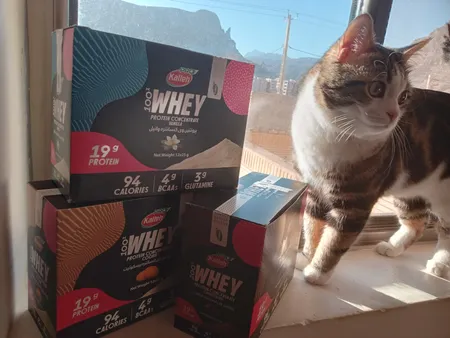 پروتئین وی با طعم شکلات کاله پرو - 25 گرم بسته 12 عددی