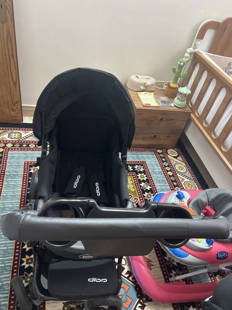 کالسکه دلیجان مدل بنیتا