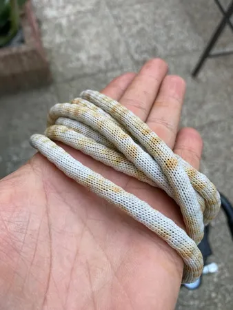 نوار سرب پرده مدل سنگین طول 500 سانتی متر