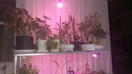 وال واشر ال ای دی رشد گیاه 4 وات مدل p4