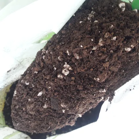 خاک برگ گیلدا کد GB12L حجم 12 لیتر