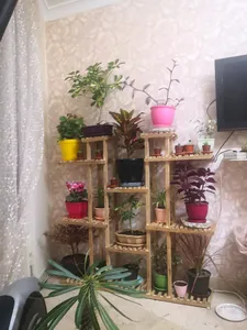 تجریه خرید استند گل و گلدان مدل gol5