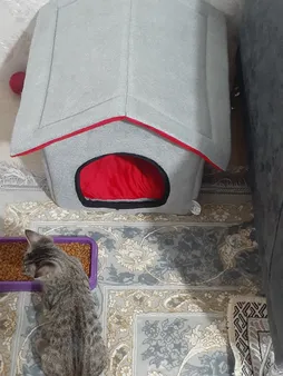 غذای خشک گربه مونلو مدل هربال شده وزن 1 کیلوگرم