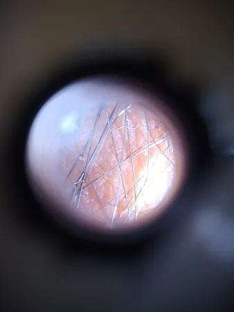 میکروسکوپ جیبی مدل 9592