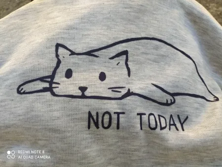 هودی زنانه طرح Not Today کد S361