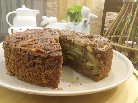 سرخ کن بدون روغن سیلورکرست مدل JD689B