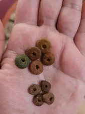 تجریه خرید غذای گربه مفید مدل بالغ طعم ماهی و مرغ وزن 2000 گرم