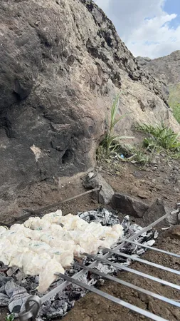 منقل صحرایی واته مدل 230FG