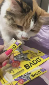 تجریه خرید تشویقی گربه بادو مدل بستنی با طعم مرغ وزن 60 گرم بسته 4 عددی