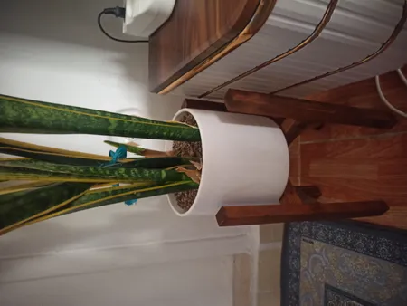 استند گلدان مدل AZ3 مجموعه 3 عددی