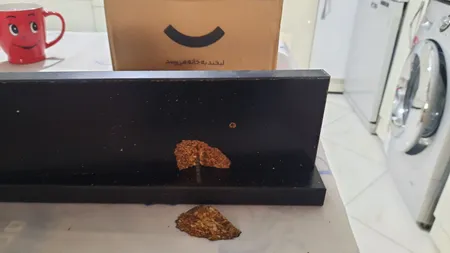 شلف دیواری مدل s204