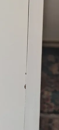 کتابخانه مدل ‌‌pm2010